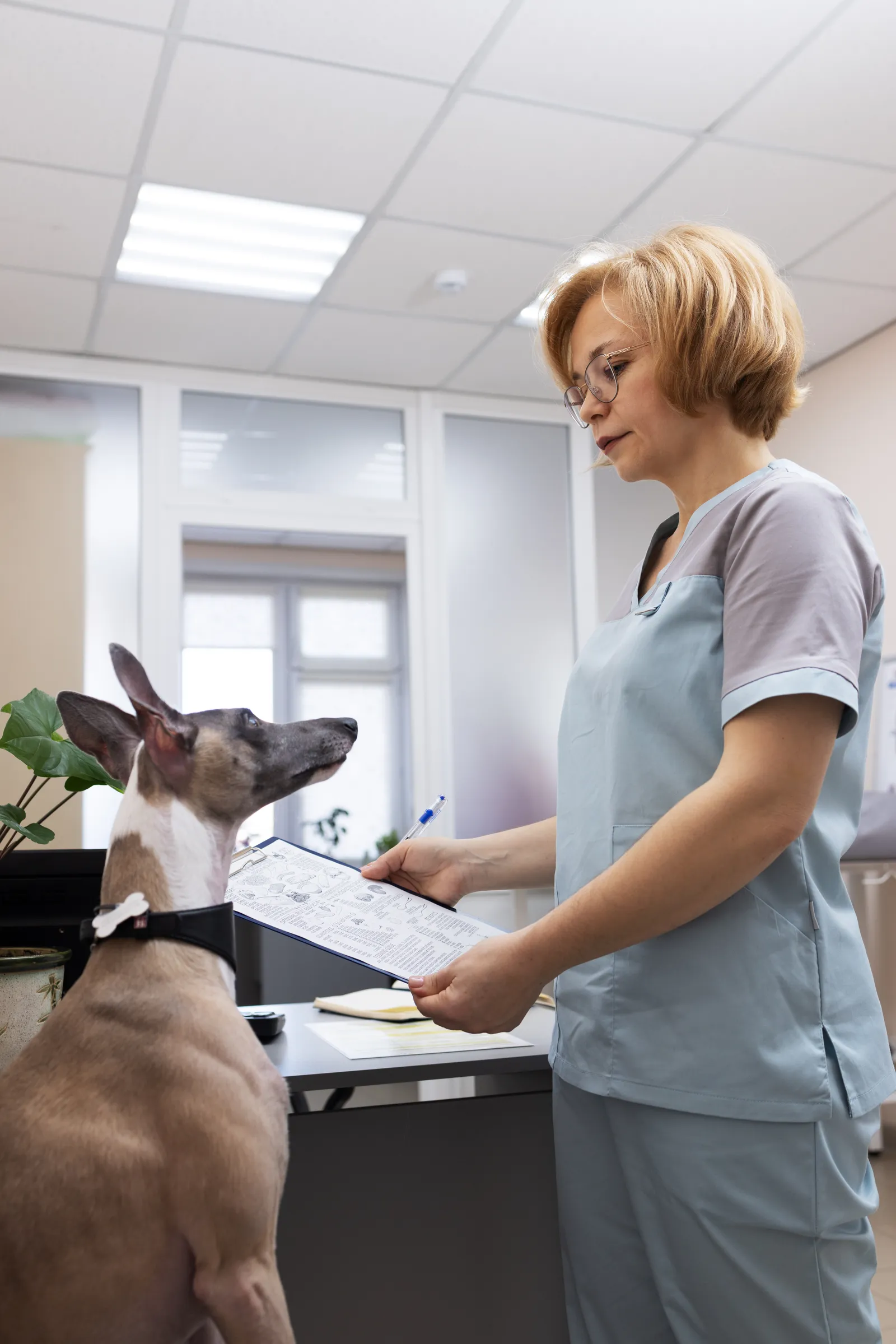 Veterinaria atendiendo a un perro en el consultorio